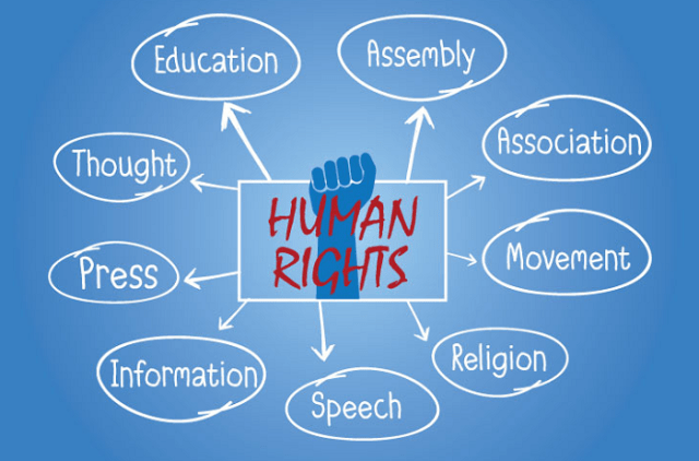 International Human Rights Instruments and Organizations