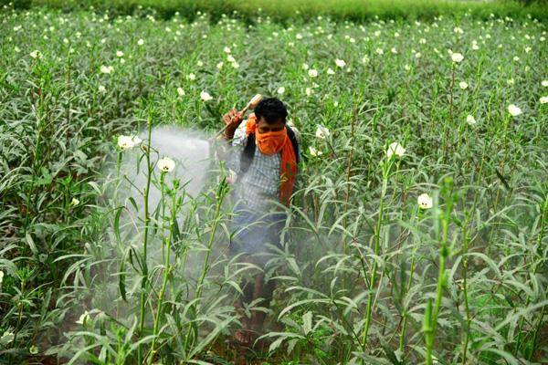 Farmers