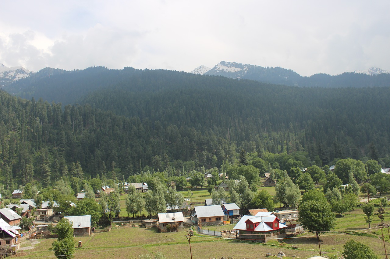 Impact of Scrapping of Article 370