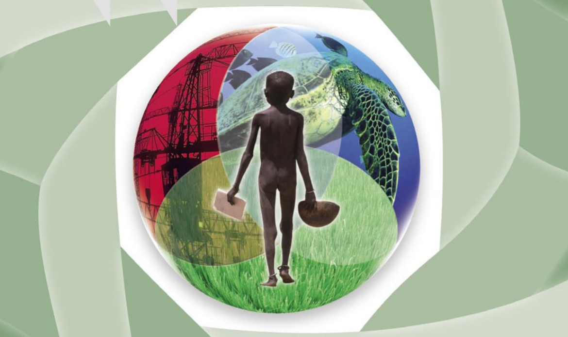 Environmental Impact Assessment