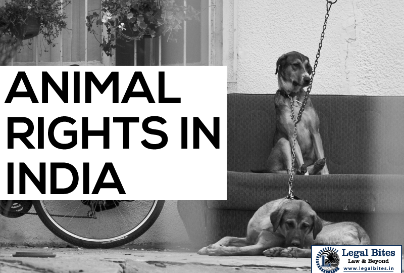 Animal Rights in India: An Overview – Legal 60
