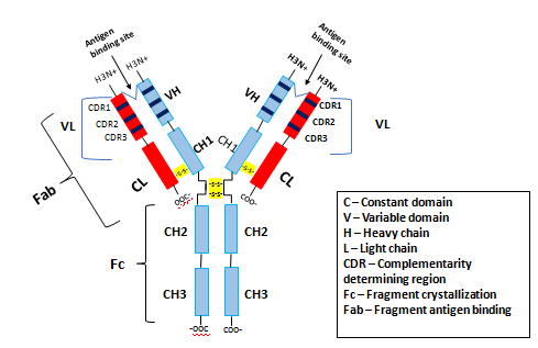As this is a very complicated structure, please contact swaraj@spicyip.com for a more accessible version