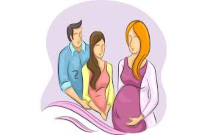 Surrogate Woman Entitled to Maternity Leave Benefits: Himachal HC Surrogate Woman Entitled to Maternity Leave Benefits: Himachal HC