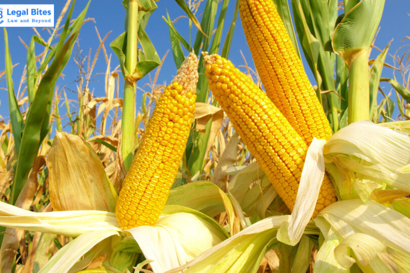 Know all about Corn Laws Legal 60