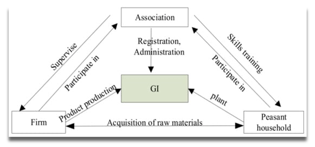 Figure explaining interactions among associations, firms and peasant households in the GIs industry.